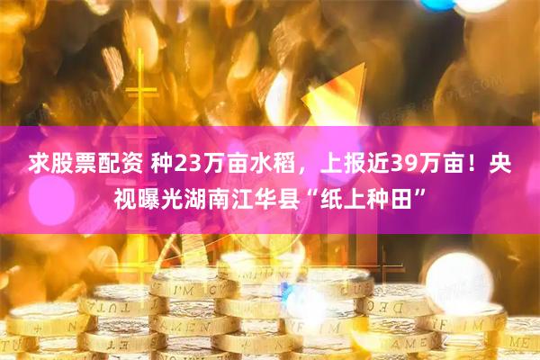 求股票配资 种23万亩水稻，上报近39万亩！央视曝光湖南江华县“纸上种田”